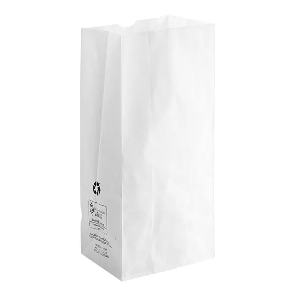 6Lb White Bag (6Lb White Kraft Paper Bag Hravy Duty 500Ct)