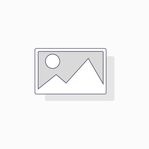 GEEK BAR 15K BERRY BLISS 